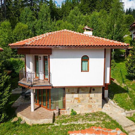 Pamporovo Cottage Savov エクステリア 写真