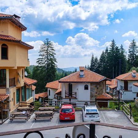 Pamporovo Cottage Savov エクステリア 写真