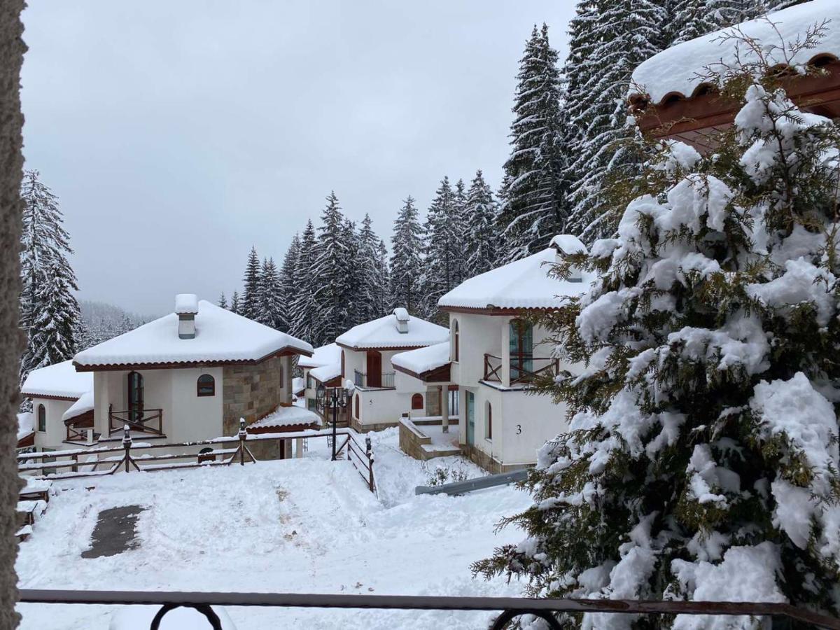 Pamporovo Cottage Savov エクステリア 写真